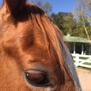 Meet your Posher, Kristi